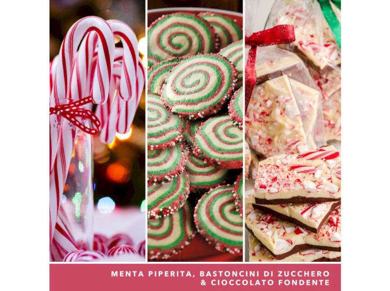 40568-peppermint pinwheels_